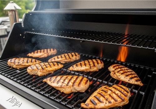 Ninja Woodfire Grill Chicken Breast Recipe