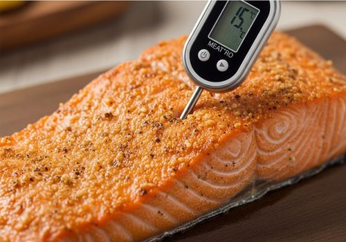 how to smoke salmon in ninja woodfire outdoor grill