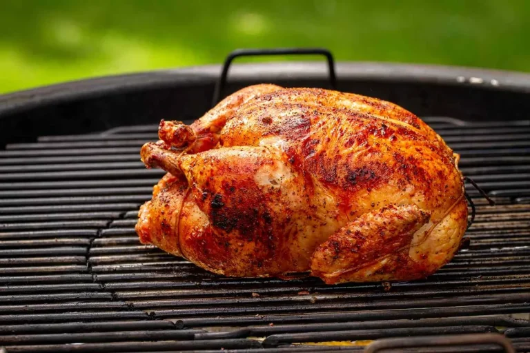 Chicken in Grill Oven