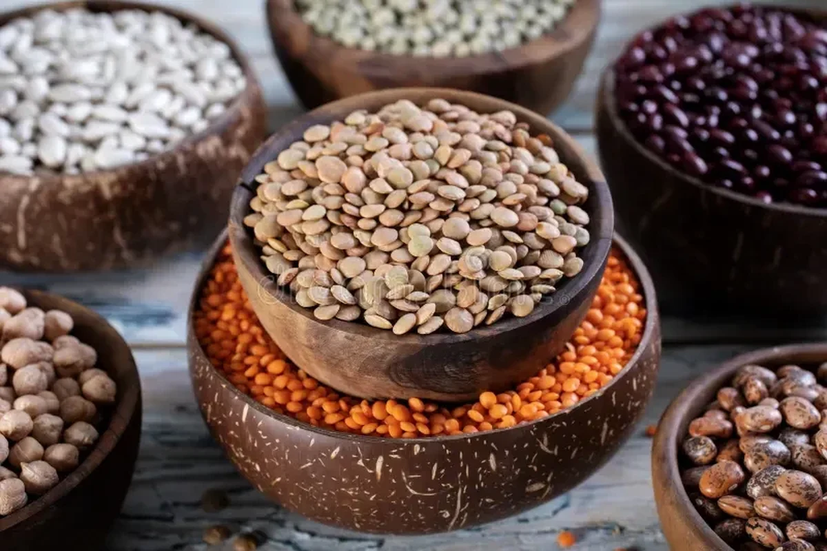 Dried Lentils Protein