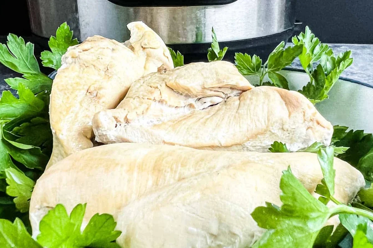 A cooked, juicy chicken breast being shredded with a fork inside a stainless steel Instant Pot.